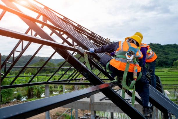 Professional Roofing Contractor in Point Roberts, WA