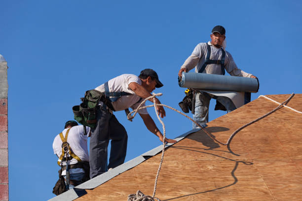 Best Gutter Installation and Roofing  in Point Roberts, WA